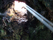 foto autor